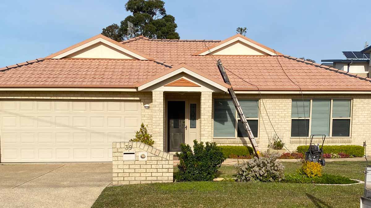 Roof Before
