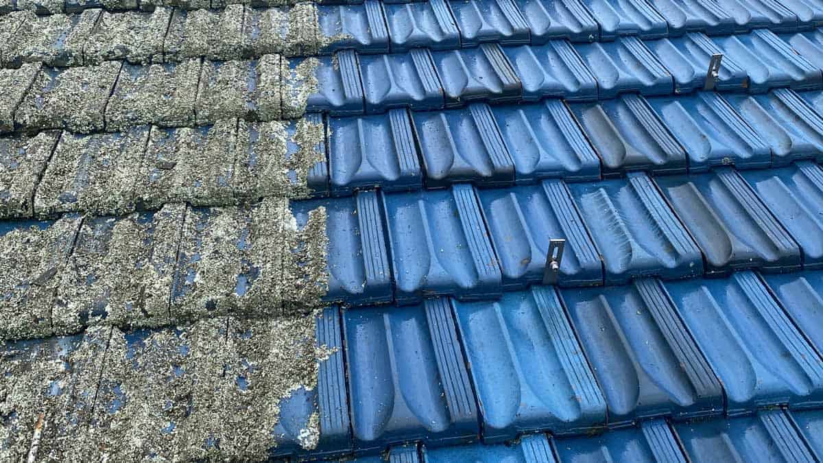 Roof Cleaning Services